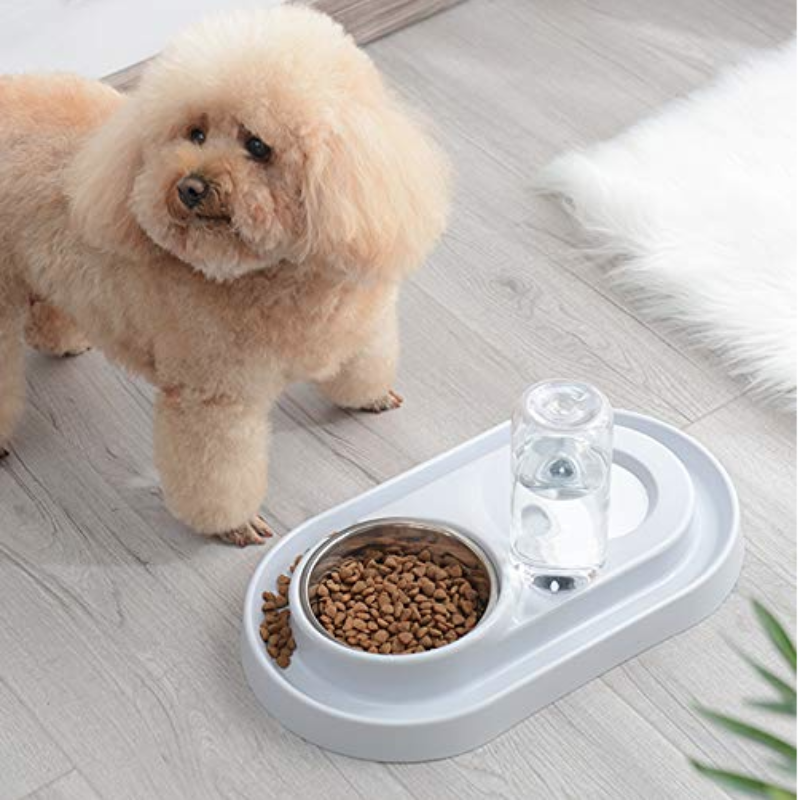 Stainless Steel Pet Feeding Station