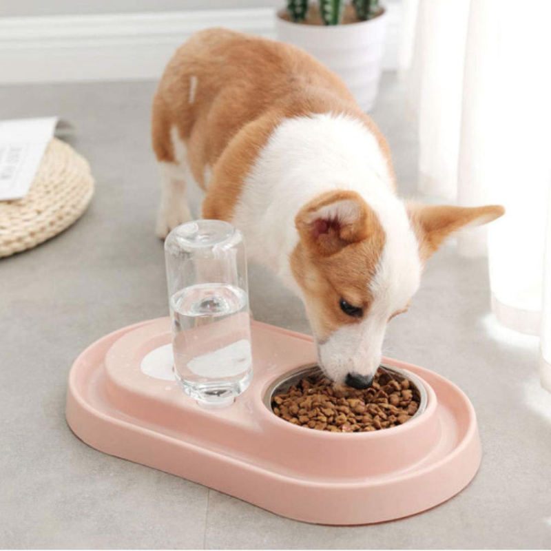 Stainless Steel Pet Feeding Station