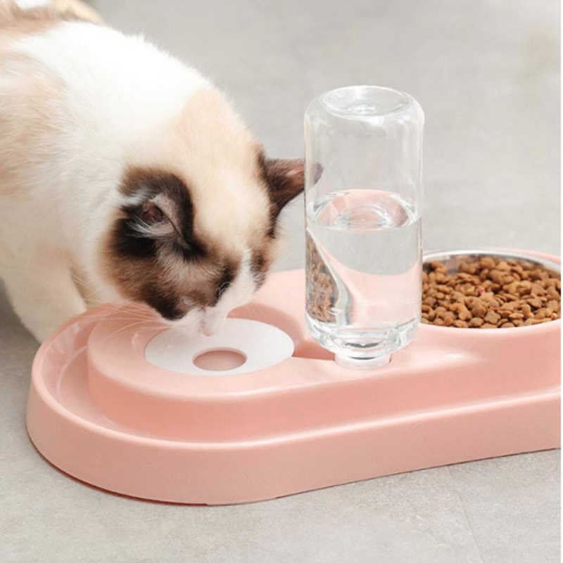 Stainless Steel Pet Feeding Station