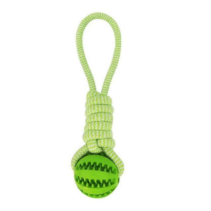 Durable Rubber Chew Ball with Cotton Rope